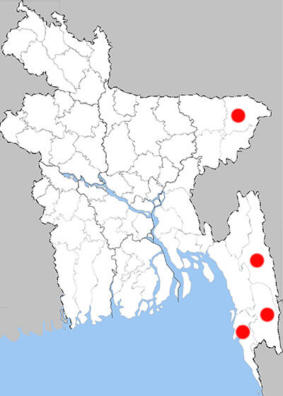 Distribution map - P Castor