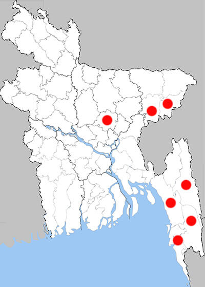 Distribution map - pap chs