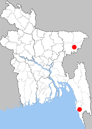 Distribution map - Taxila haquinus fasciata