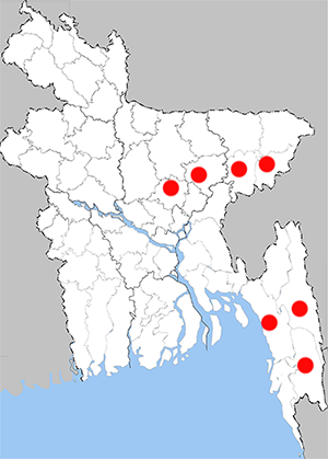 Distribution map - Zemeros flegyas flegyas